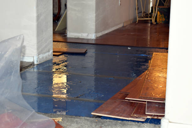 Professional Emergency Water Damage technician working in Carbon, TX